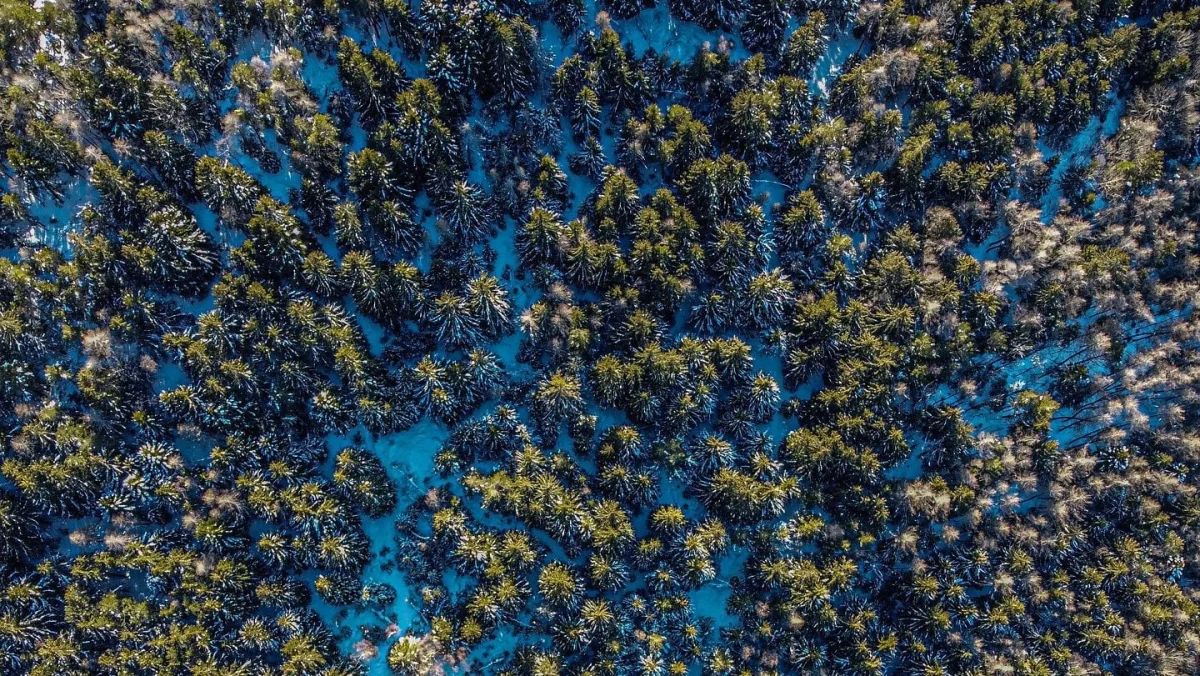 An AI drone can track people through forests without GPS. How does it work?
